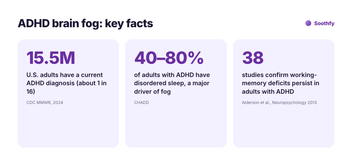 ADHD brain fog key facts: 15.5 million US adults have ADHD, 40 to 80 percent of adults with ADHD have disordered sleep, and 38 studies confirm adult working memory deficits