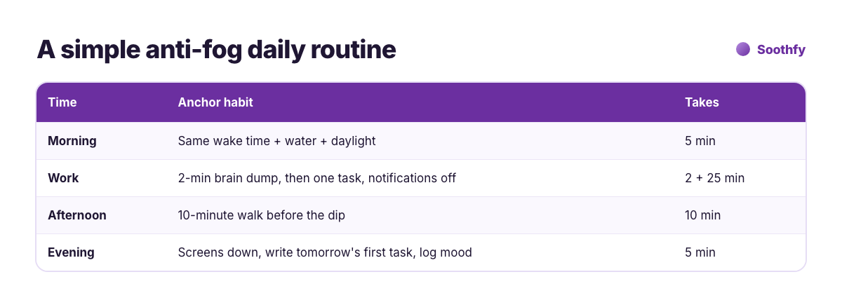 Anti brain fog daily routine for ADHD: morning wake time and water, work brain dump and single-tasking, afternoon walk, evening plan for tomorrow